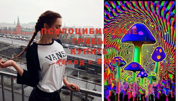 дурь Алексин