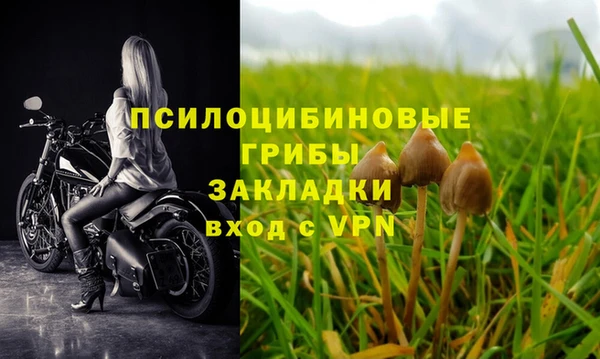 дурь Алексин