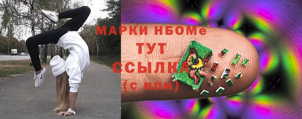 дурь Алексин