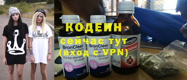 дурь Алексин